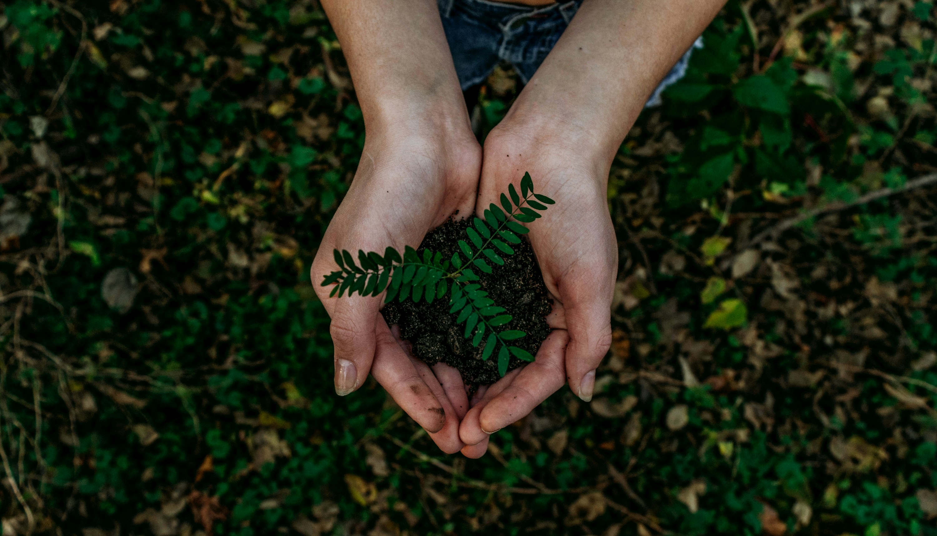 Environment & Community